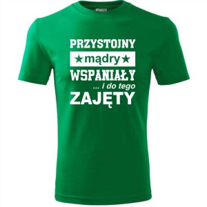 Zielona Męska koszulka - Przystojny, mądry, wspaniały - prezent dla chłopaka. Dostępne wszystkie rozmiary S, M, L, XL, XXL, XXXL, XXXXL. Zapraszamy do zakupu.