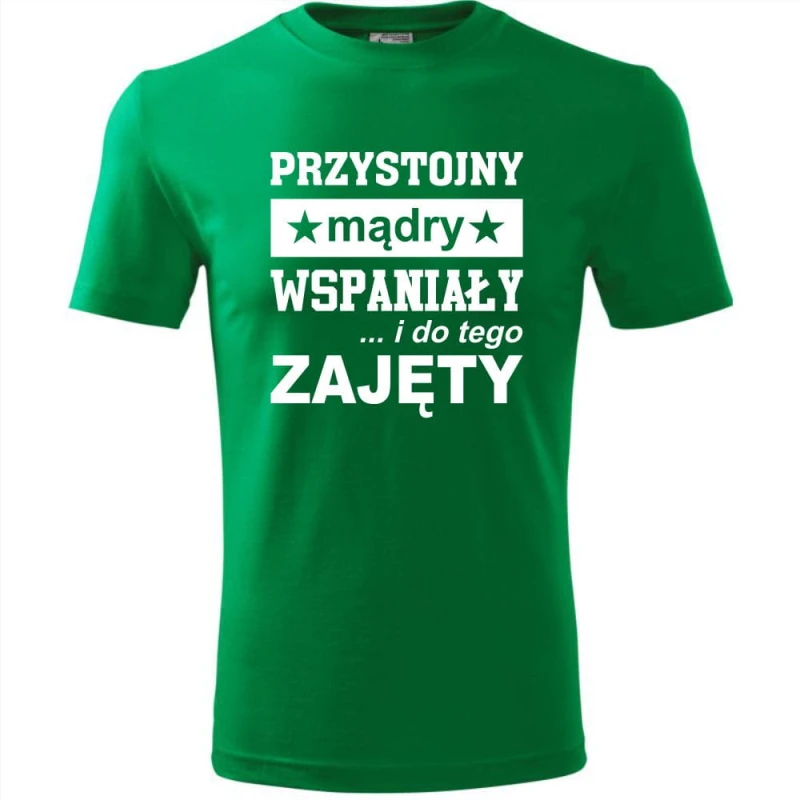 Zielona Męska koszulka - Przystojny, mądry, wspaniały - prezent dla chłopaka. Dostępne wszystkie rozmiary S, M, L, XL, XXL, XXXL, XXXXL. Zapraszamy do zakupu.