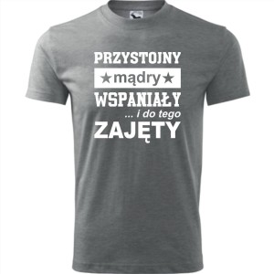 Szara Męska koszulka - Przystojny, mądry, wspaniały - prezent dla chłopaka. Dostępne wszystkie rozmiary S, M, L, XL, XXL, XXXL, XXXXL. Zapraszamy do zakupu.