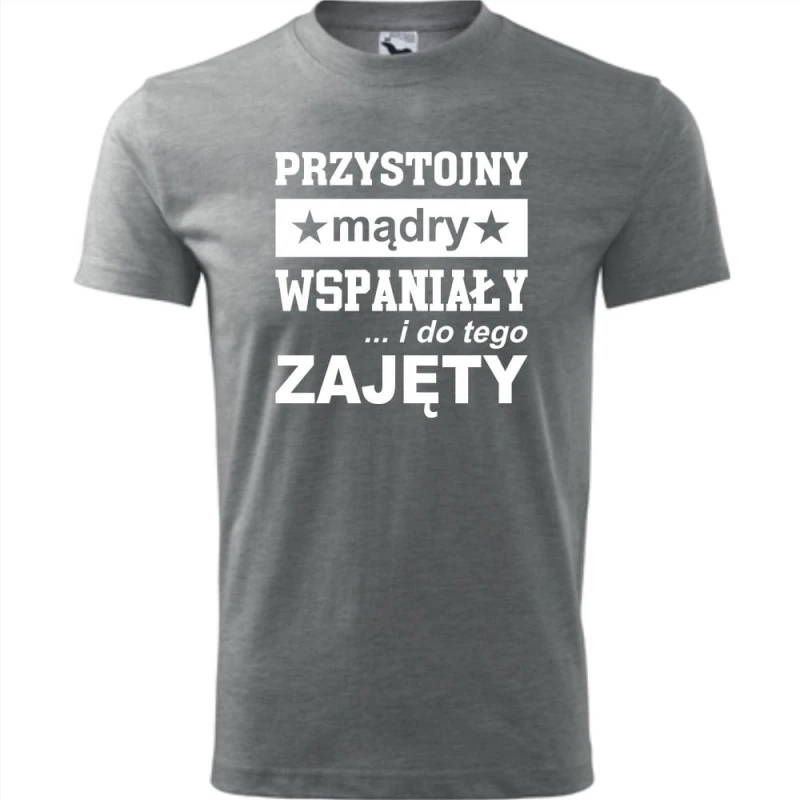 Szara Męska koszulka - Przystojny, mądry, wspaniały - prezent dla chłopaka. Dostępne wszystkie rozmiary S, M, L, XL, XXL, XXXL, XXXXL. Zapraszamy do zakupu.