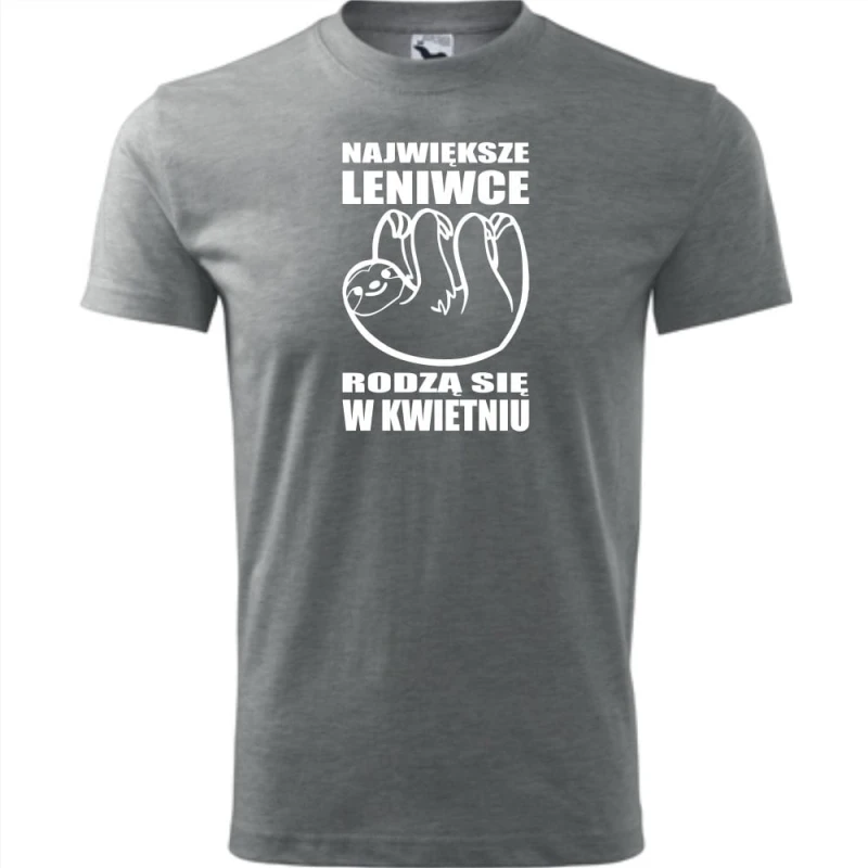 szara męska koszulka - największe leniwce rodzą się w kwietniu.