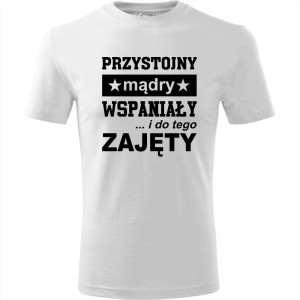 Biała Męska koszulka - Przystojny, mądry, wspaniały - prezent dla chłopaka. Dostępne wszystkie rozmiary S, M, L, XL, XXL, XXXL, XXXXL. Zapraszamy do zakupu.