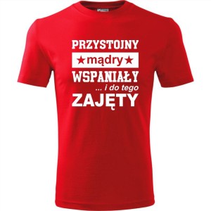 Czerwona Męska koszulka - Przystojny, mądry, wspaniały - prezent dla chłopaka. Dostępne wszystkie rozmiary S, M, L, XL, XXL, XXXL, XXXXL. Zapraszamy do zakupu.
